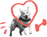 doggo